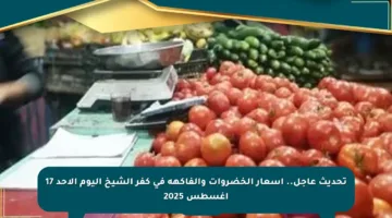 تحديث عاجل.. أسعار الخضروات والفاكهة في كفر الشيخ اليوم الأحد 17 أغسطس 2025